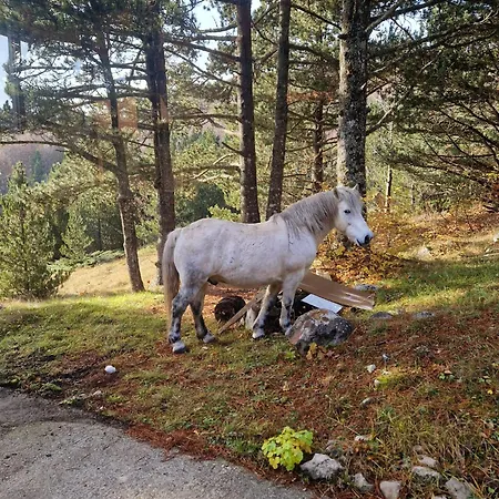 Planinska Oaza Rujiste